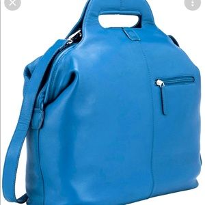 Delsey Gaite tote/ travel bag